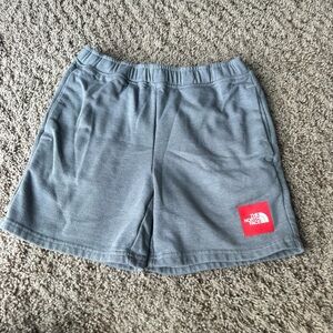 The North Face Kids Gray Shorts